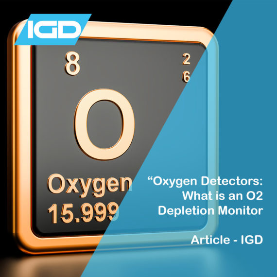 article Archives - IGD