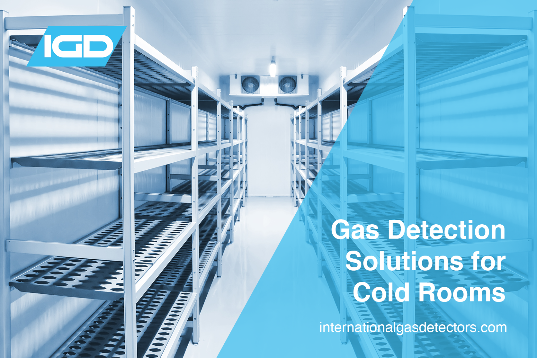 Gas Detection Solutions for Cold Storage Applications