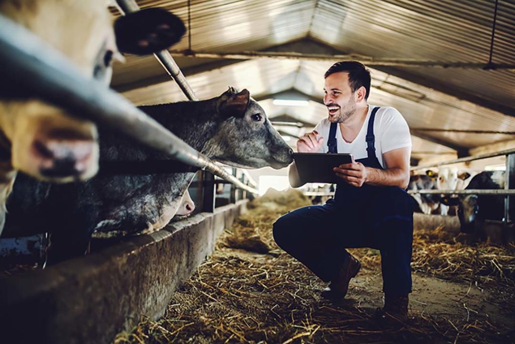 Farmer with Livestock 