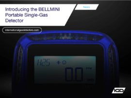 Introducing the BELLMINI-5
